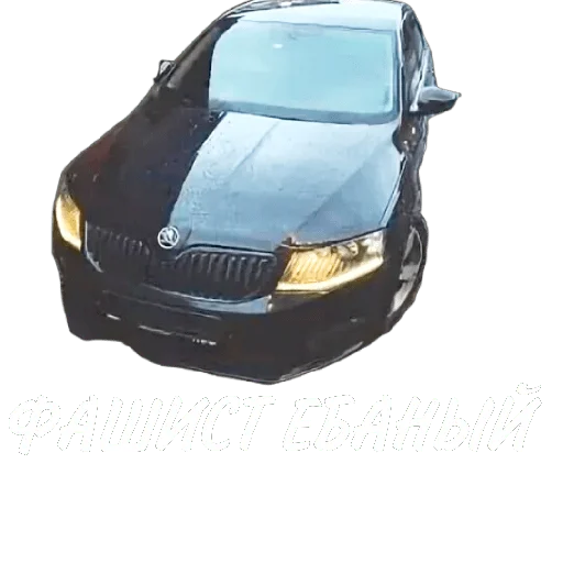 Стикер kdPah1may - 1