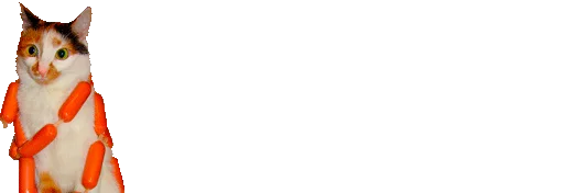 animal domestic cat small to medium-sized cats