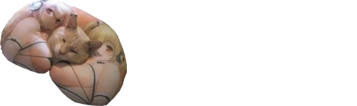 animal invertebrate jellyfish