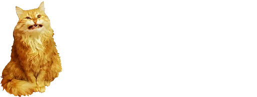 животное кошка кошки малого и среднего размера