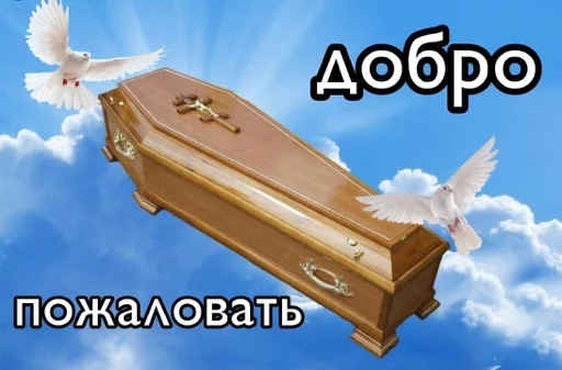 Стикер kdkchkass - 1