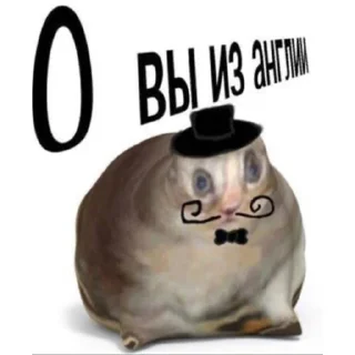 Sticker пуси джуси на тусе - 4