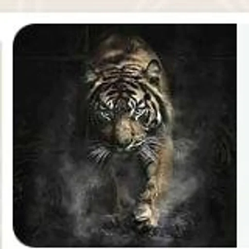 Стикер жопа :: @fStikBot - 1