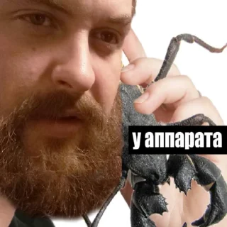 Стикер маразм кипера - 7