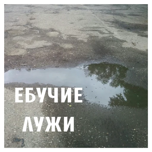 Sticker kef_cheb - 1