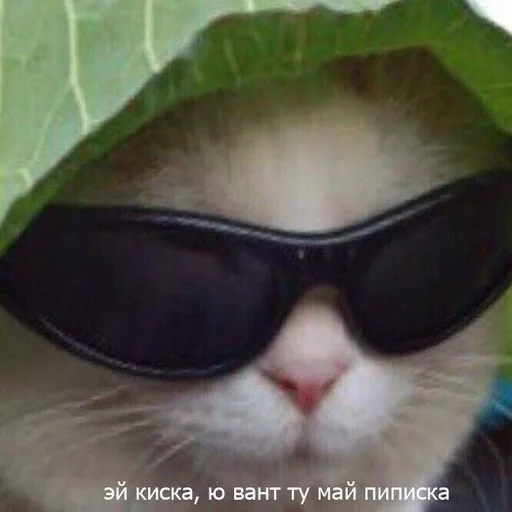 Стикер кекс :: @fStikBot - 7