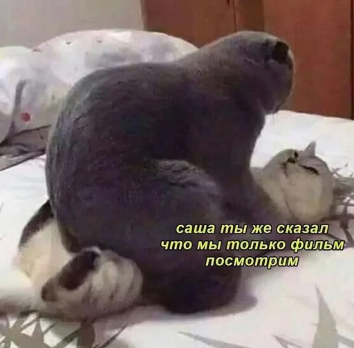 Стикер кекс :: @fStikBot - 5