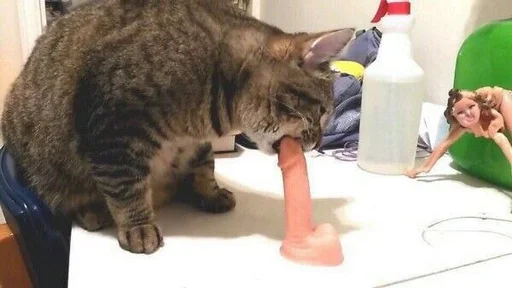 Стикер кекс :: @fStikBot - 4