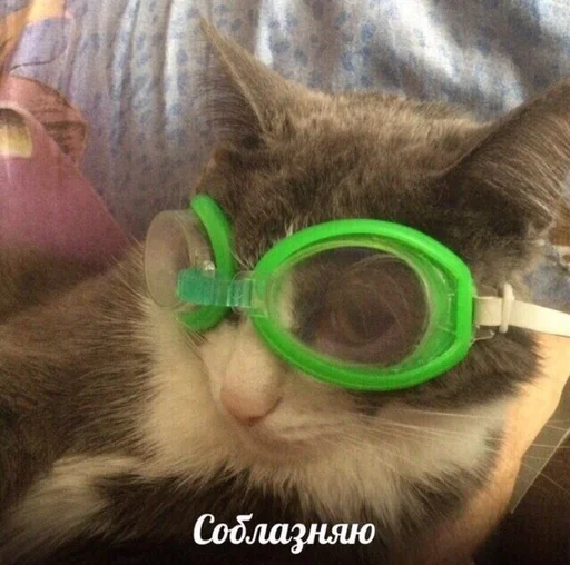 Стикер кекс :: @fStikBot - 3