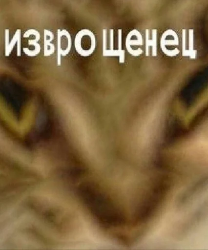 Стикер кекс :: @fStikBot - 2