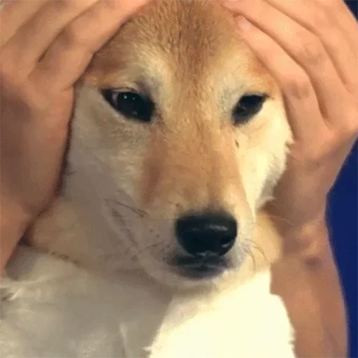 Sticker kekeeeeqwe - 1