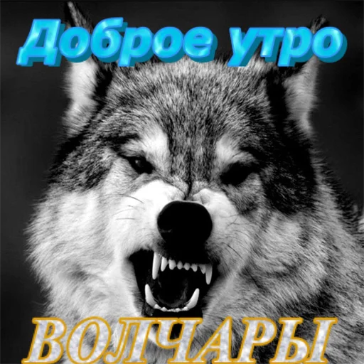 млекопитающее животное СМС