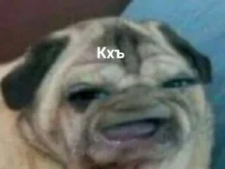 Sticker ай нраица - 8