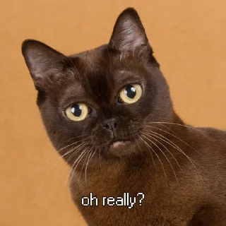 Sticker ай нраица - 6