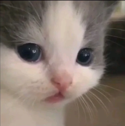 Sticker keklerrr - 1