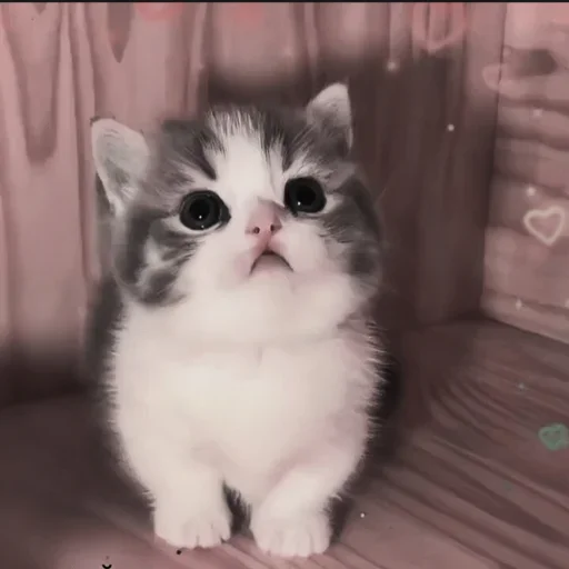 Sticker Чат ❤️ 👉  @CBEJAKK - 11