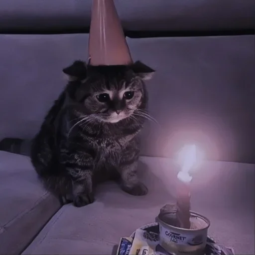 Sticker Чат ❤️ 👉  @CBEJAKK - 6