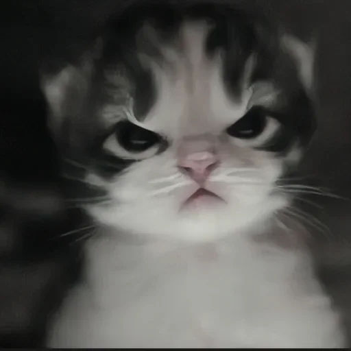 Sticker Чат ❤️ 👉  @CBEJAKK - 2