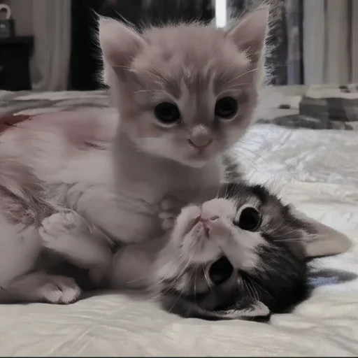 Sticker Чат ❤️ 👉  @CBEJAKK - 0