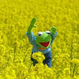 Стикер kermit the frog meme - 9