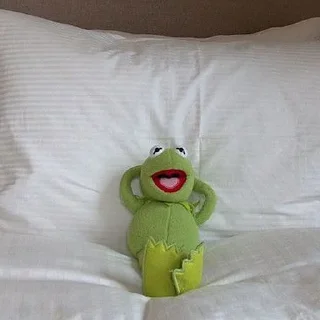 Стикер kermit the frog meme - 1
