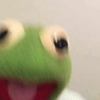kermit the frog meme - 