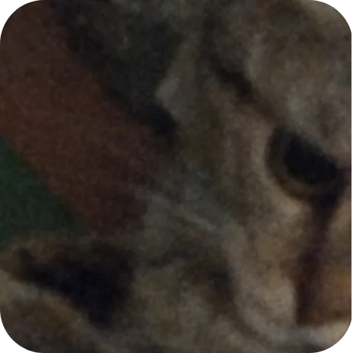 Sticker ketti_by_TgEmodziBot - 1