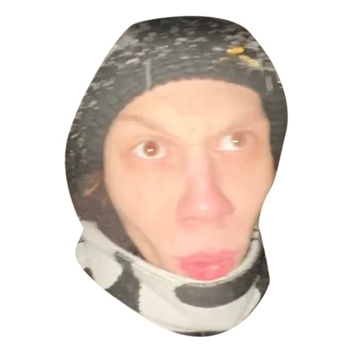 human face eyebrow cheek