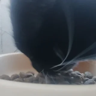 Стикер mika.bog - 4