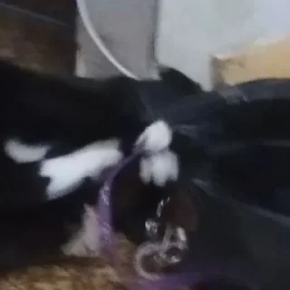 Стикер mika.bog - 1