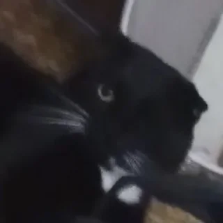 Стикер mika.bog - 0