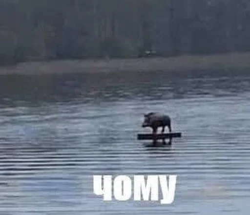 Sticker khen_de_khokh_by_TgEmodziBot - 1