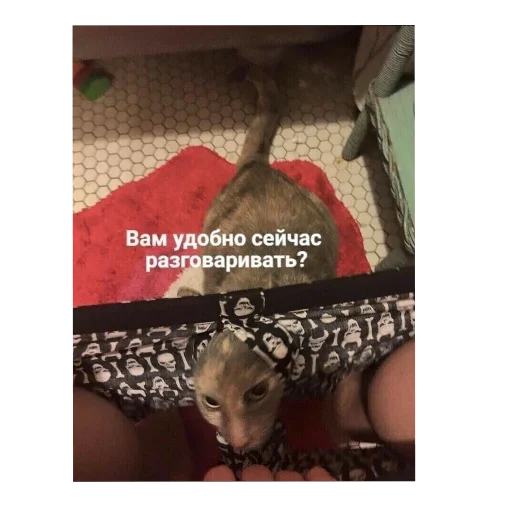 Sticker khen_de_khokh_by_TgEmodziBot - 1