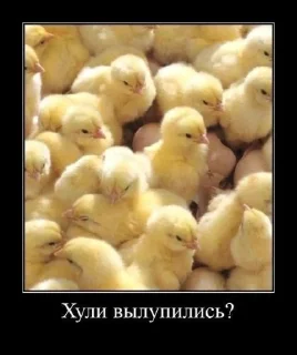 Sticker Хен де Хох @TgEmodziBot - 11