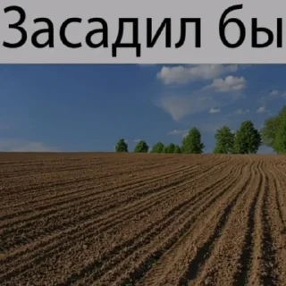 Sticker Хен де Хох @TgEmodziBot - 9