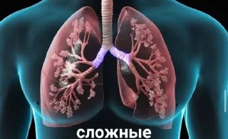 Sticker Хен де Хох @TgEmodziBot - 7