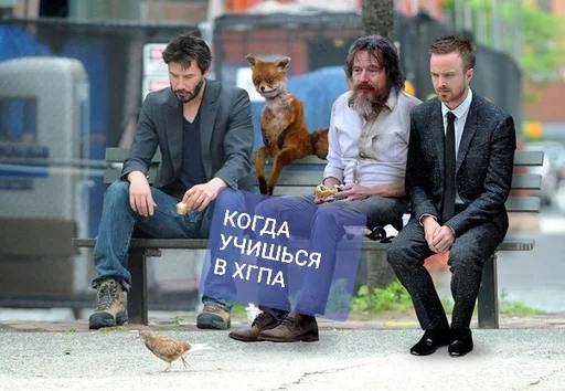 одежда Человек на открытом воздухе