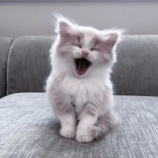 ❲💗❳cute kitties by @hlwoodstickers :: @fStikBot - кошки малого и среднего размера