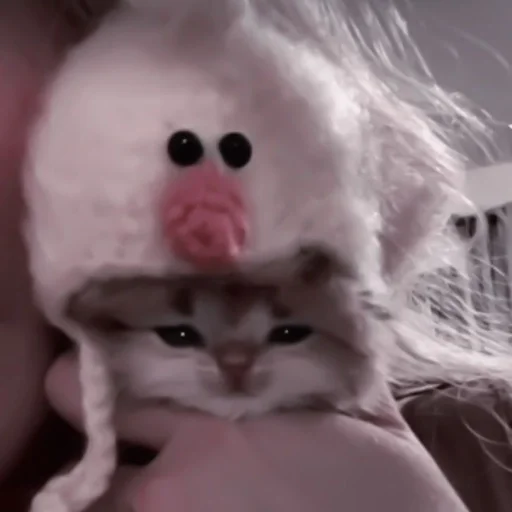 кошки малого и среднего размера мех игрушка