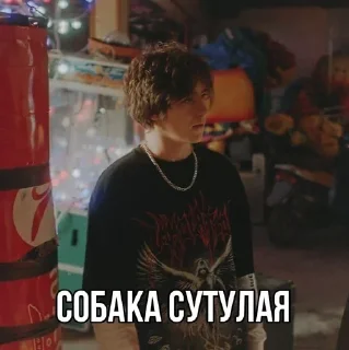 Sticker киса💕 - 11