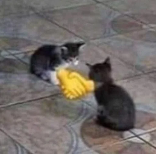 Sticker kiityckatss - 1