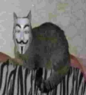 Sticker kiticats - 1