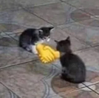 Sticker kiticats - 11