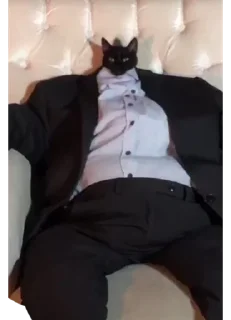 Sticker kiticats - 4