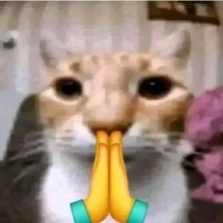 Sticker kiticats - 3