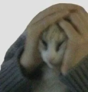 Sticker kiticats - 6