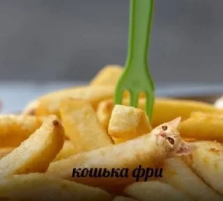 Sticker kiticats - 0