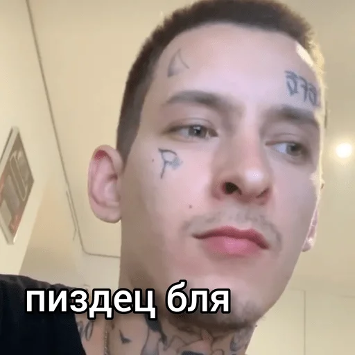 human face eyebrow forehead