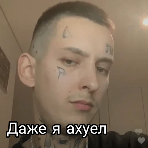 human face eyebrow forehead