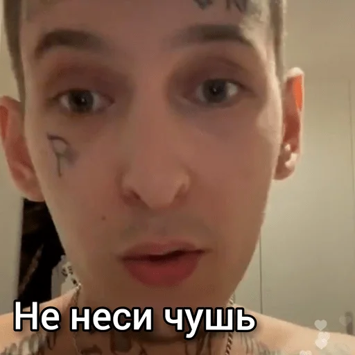 human face eyelash eyebrow